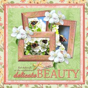 delicate BEAUTY