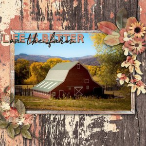 on the farm