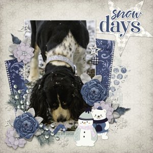 Tigger in the Snow