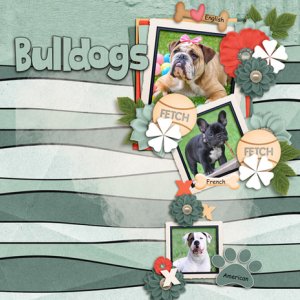 Bulldogs