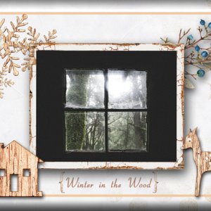 Winter in the Wood