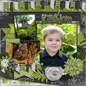 Animal Kingdom