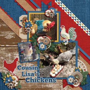 Cousin Lisa's Chickens