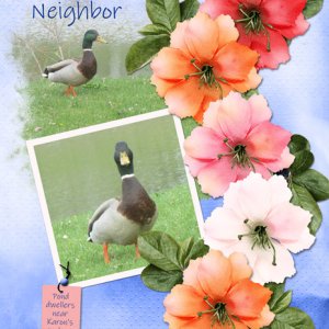 Hi, Neighbor