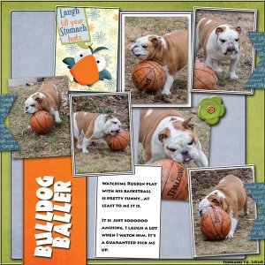 Bulldog Baller