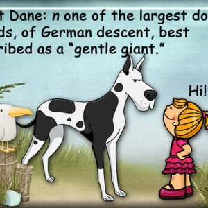 G is for Great Dane