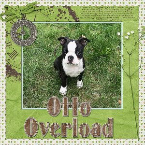 Otto Overload