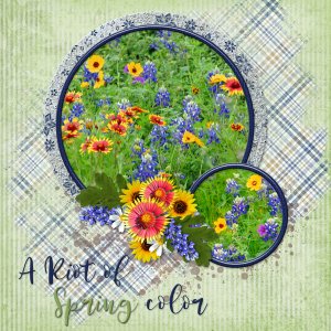 A Riot of Spring color
