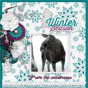 Winter-season
