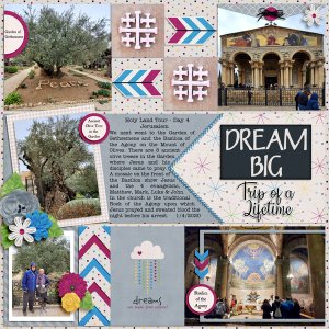 Dream Big - Trip of a Lifetime