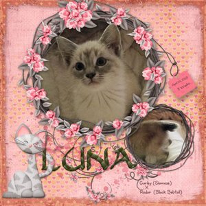 GSTempCh2-220-Luna41419