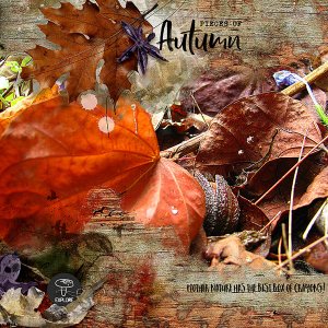 PIECES OF AUTUMN