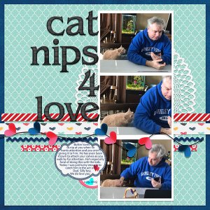 Cat Nips 4 Love
