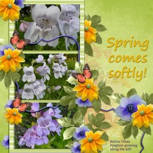 Spring comes softly!