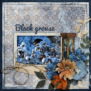 Black-grouse