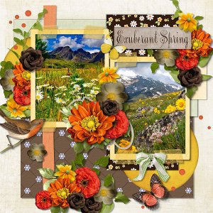 Exuberant Spring by ADB Designs