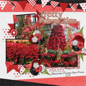 Pretty Poinsettias