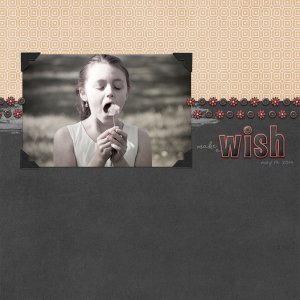 make a wish