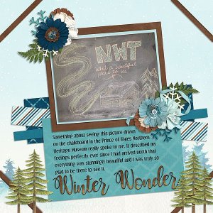 Winter Wonder