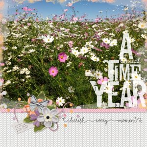 Feb2020 Scraplift Challenge