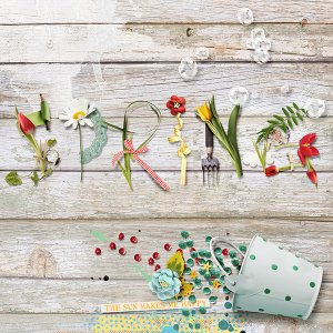Spring