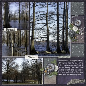 RF Album - Flooding