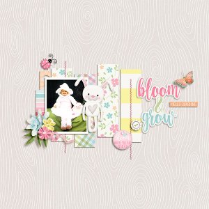 bloom