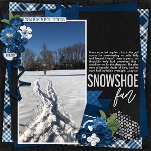 Snowshoe Fun