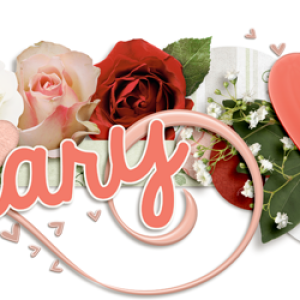 February siggy