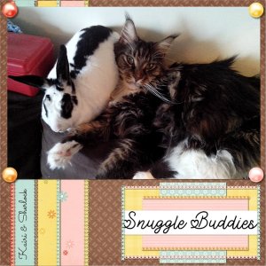 Snuggle_Buddies