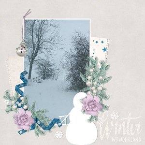 winter wonderland