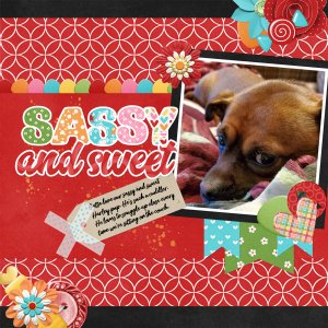 2019-11-06 sweet+sassy