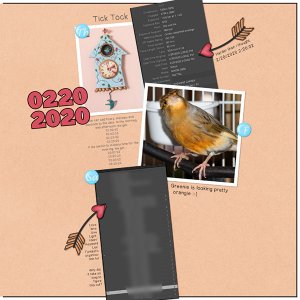 Mini Kit Challenge Better Together