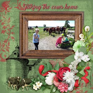 600-adbdesigns-prairie-home-pia-02