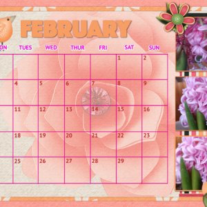 desktop20-02-small