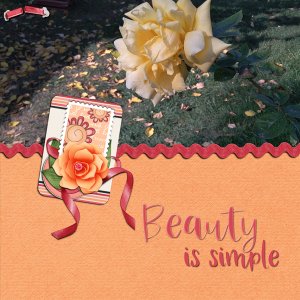 scraplift20-02-small
