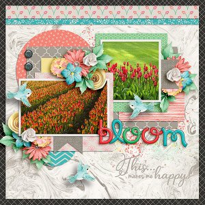Bloom