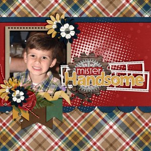 Mister-Handsome