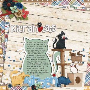 kierancats