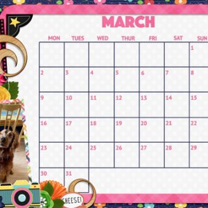 March-20 Desktop