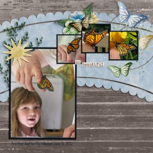 yet another butterfly release