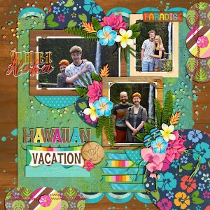 Hawaiian Vacation