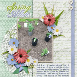 March 2020 Mini Kit - Spring Alive
