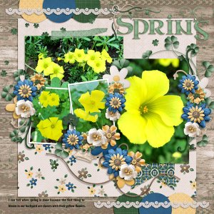 celtic spring