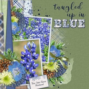 Tangled up in BLUE  (Bob Dylan quote)