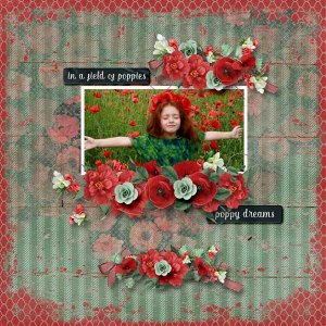 Poppy Dreams