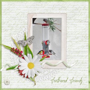 Feathered Friends