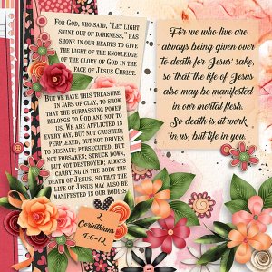 Life of Jesus Manifested