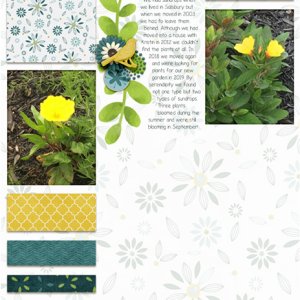 2020 March Challenge - Drops of Sunshine
