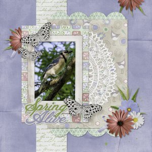 Spring Alive Blue Jay